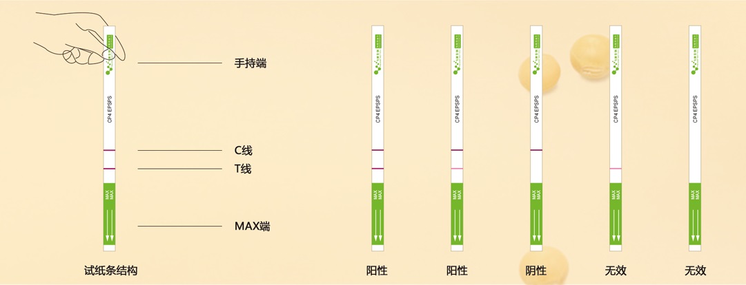 转基因定性结果判断